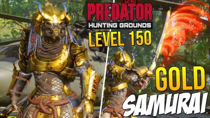 predator hunting grounds online